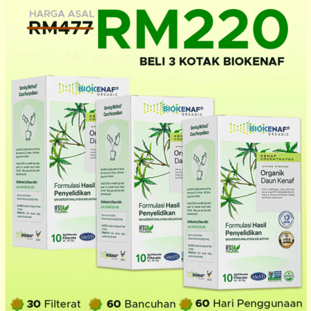 PAKEJ SIHAT ( 3 KOTAK)